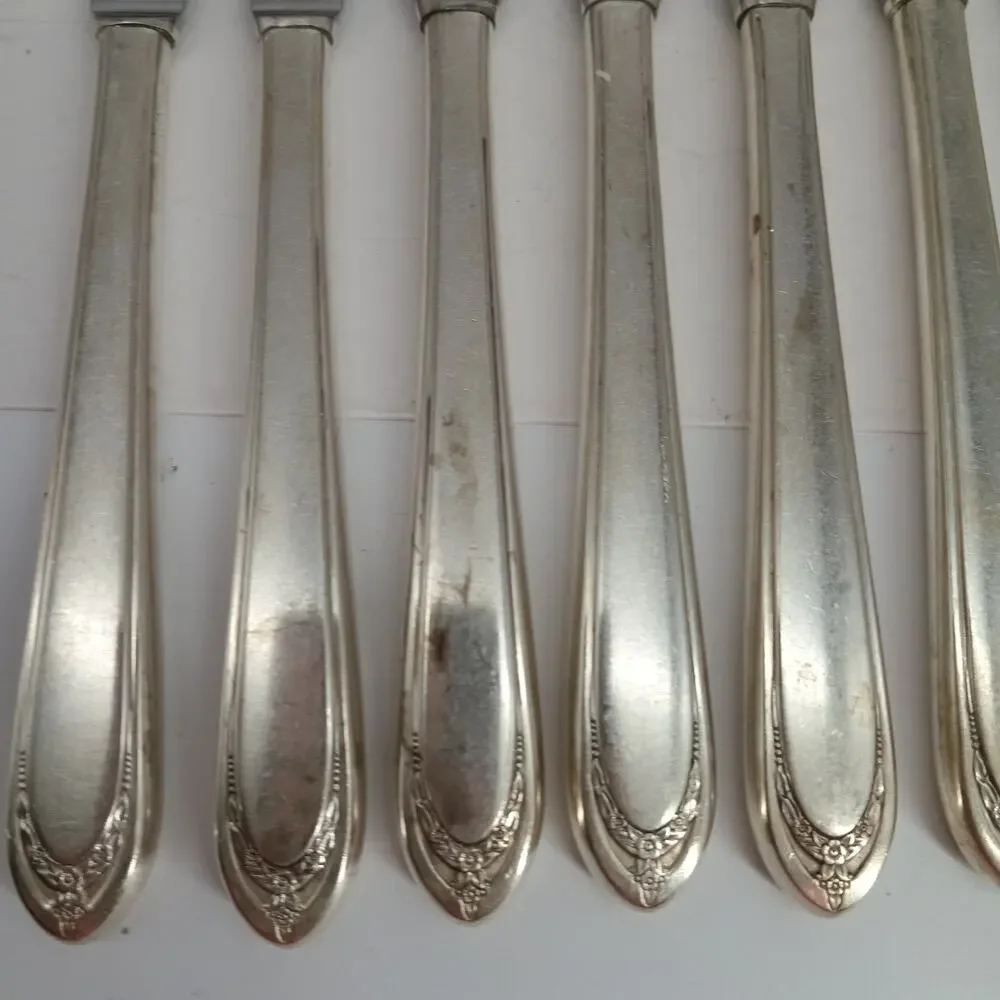 8X BK 1847 Rogers Bros IS International Silver Plate Lovelace Butter Knives